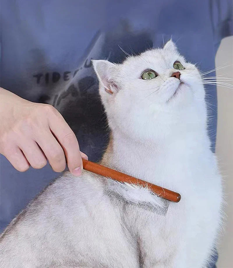 Wooden Handle Cat Brush – Stainless Steel Grooming Comb for Pets | Pet Hair Remover Tool