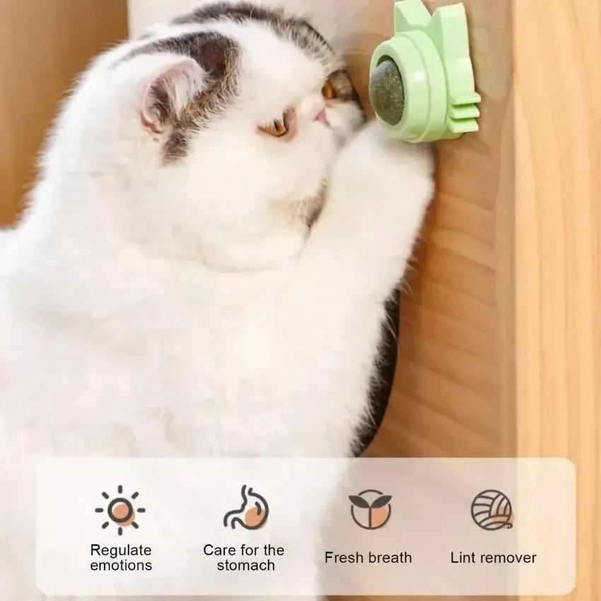 Lickable Catnip Balls – Funny Chew Toy for Cats | Dental Care, Treat & Play