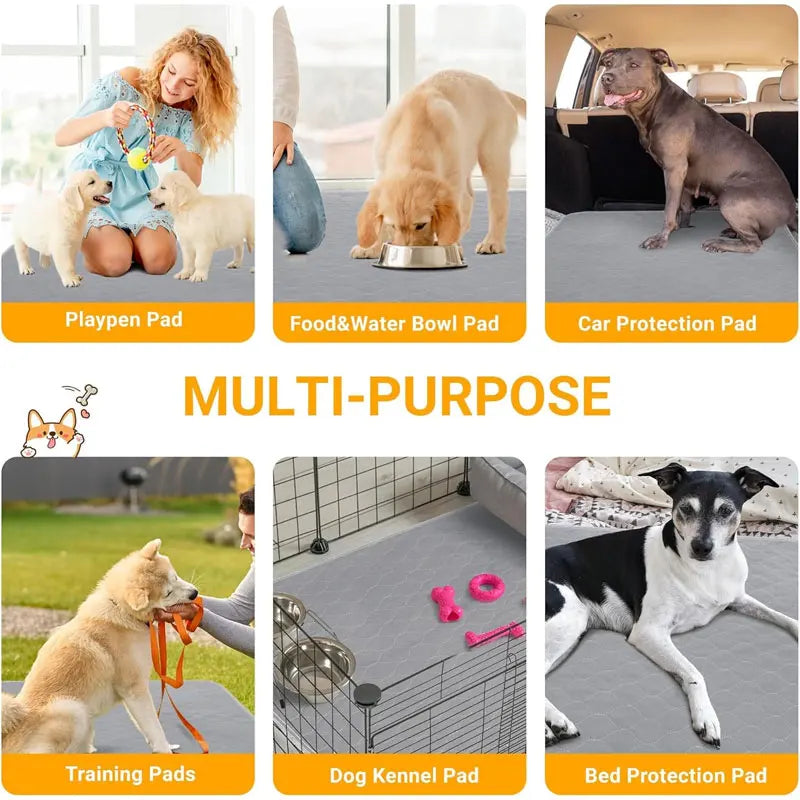 Reusable Dog Pee Pad + Waterproof & Absorbent – For Floor, Sofa, and Car | Eco-Friendly & Machine-Washable